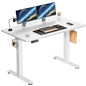 Electric Standing Computer Desk Height Adjustable 40x24 Inch