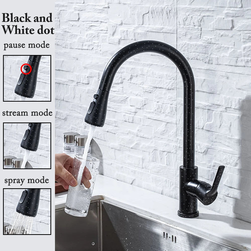 Black Kitchen Pull Out Faucet