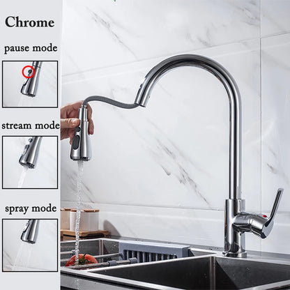 Black Kitchen Pull Out Faucet